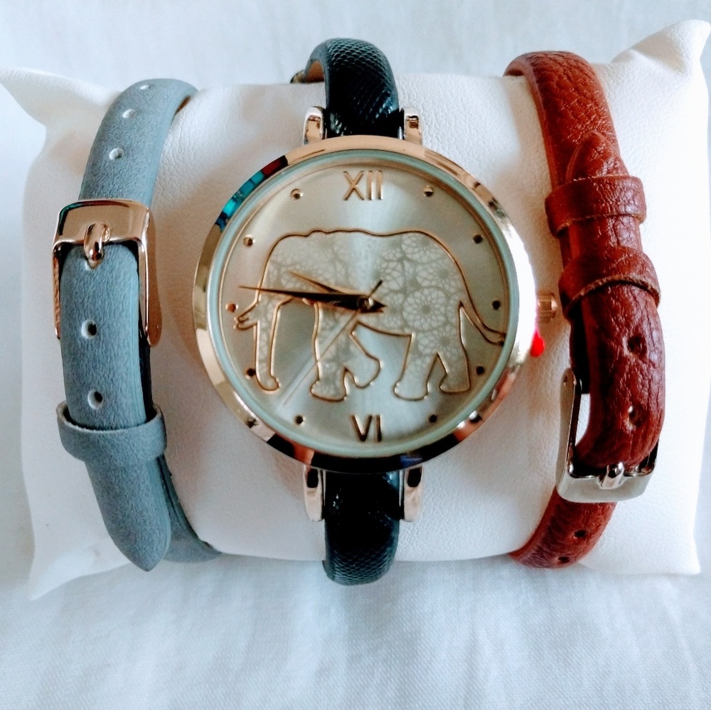 BRAND NEW! Interchangeable Strap Watch.